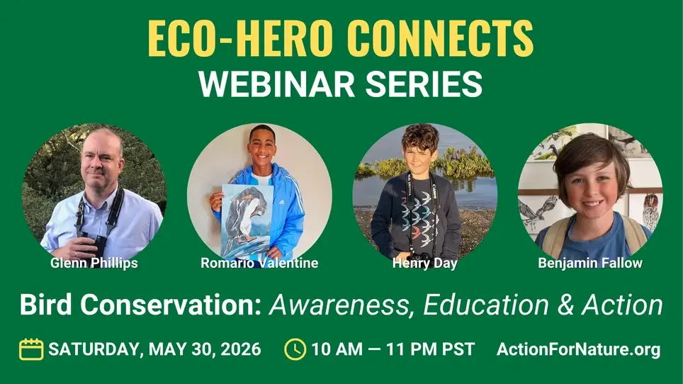 Eco-Hero Connects Webinar — Bird Conservation: Awareness, Education & Action