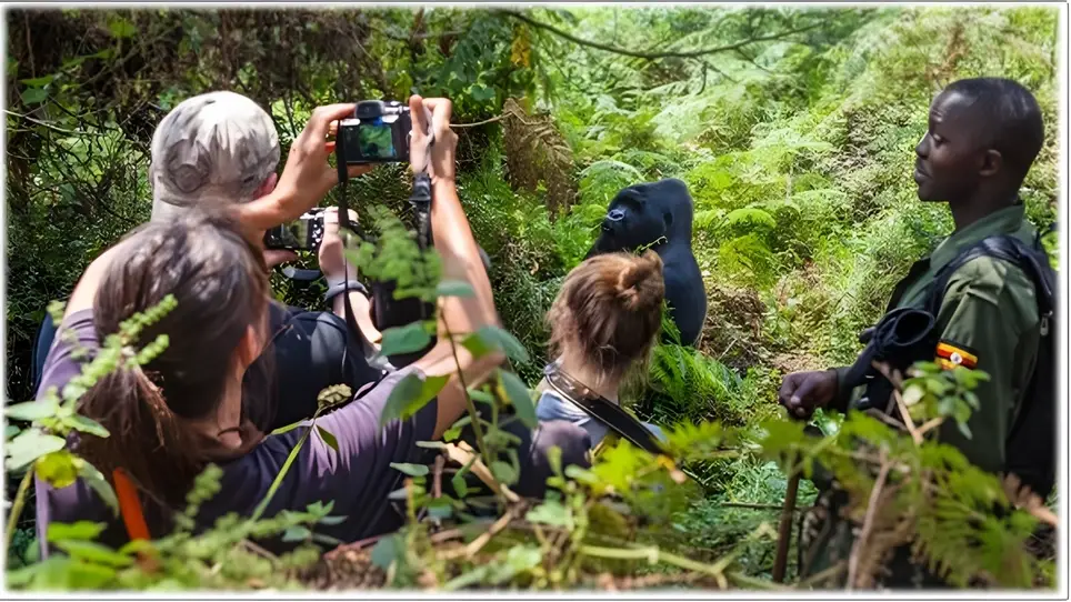 Elective International Placement (EIP) in Uganda