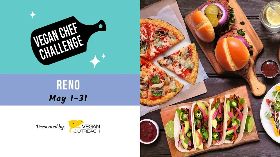 Volunteer for the Reno Vegan Chef Challenge!