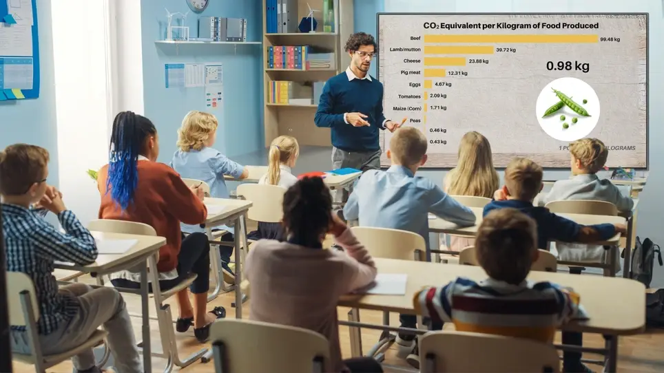 Join the Board of the Educated Choices Program (ECP) – Shape the Future ...