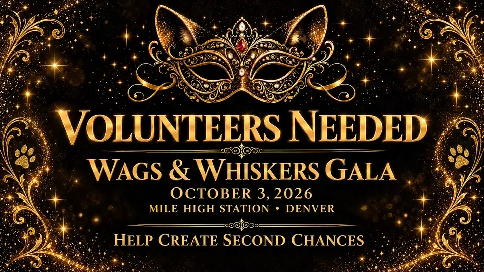 Masquerade Gala Volunteer Opportunity