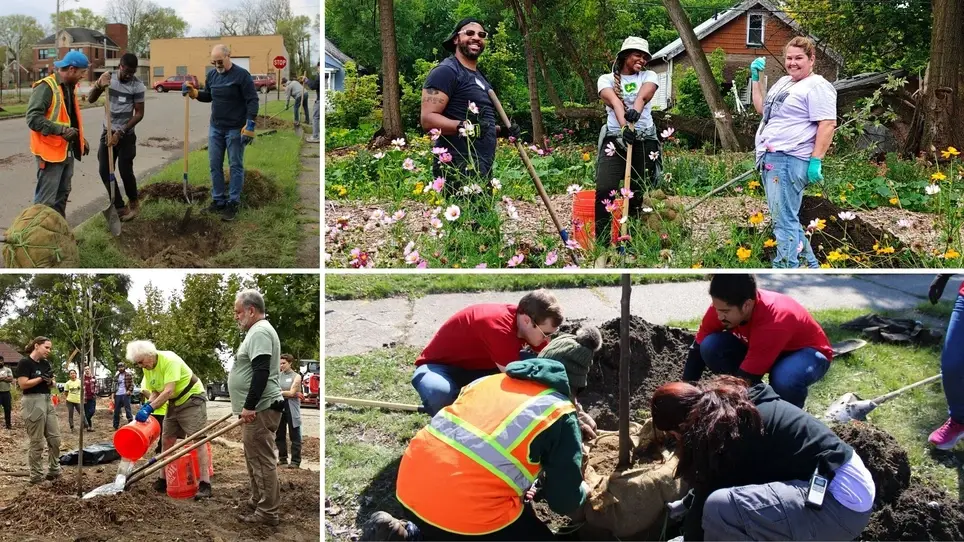 Plant Trees in Detroit as a Citizen Forester!