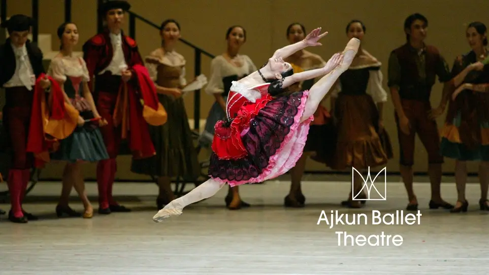 Volunteer Grant Writer – Professional Ballet Company