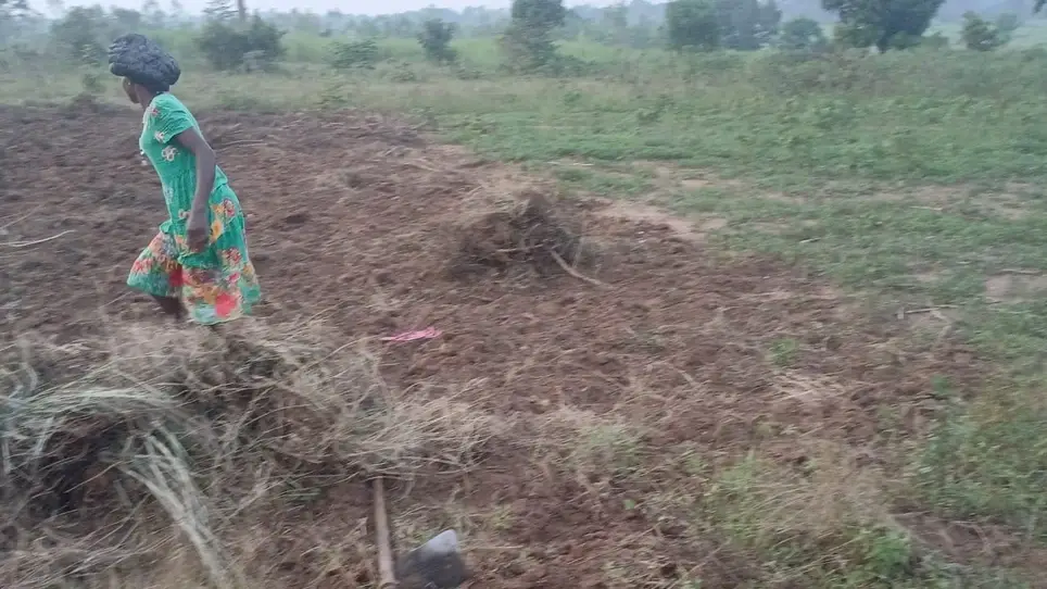 Remote Fundraiser – Farmer-Managed Community Restoration Pathway, Civicom Aid
