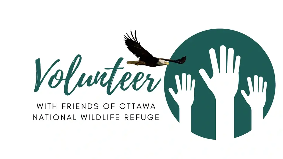 Nature Store Volunteer