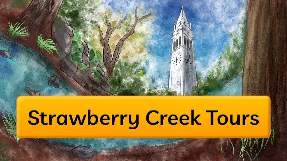 Graphic Designer for watershed education nonprofit