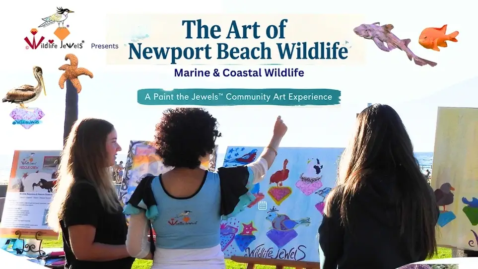 The Art of Newport Beach Wildlife: Marine & Coastal Wildlife