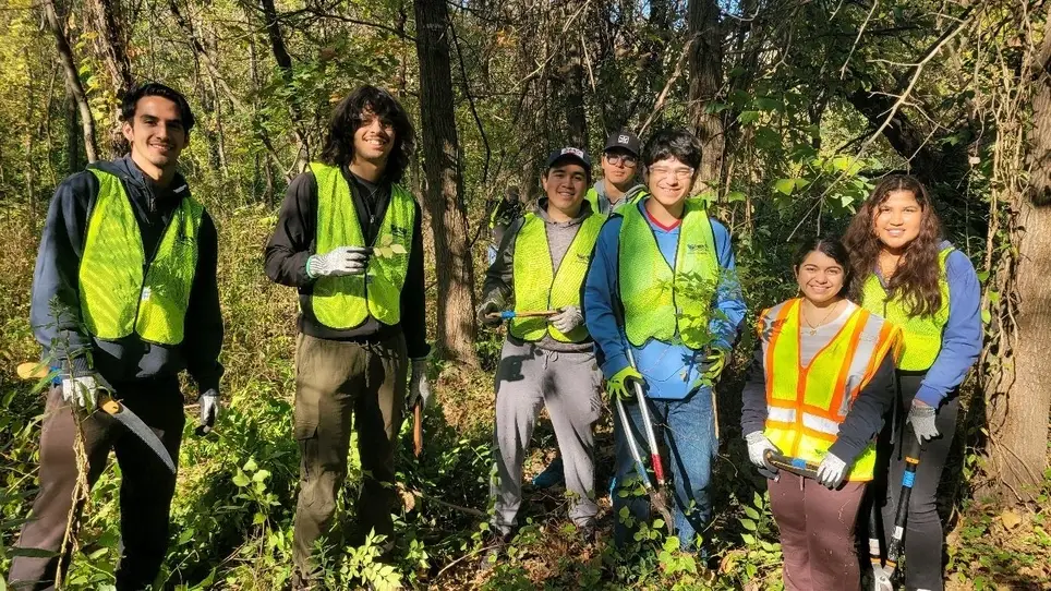 Hack Some Honeysuckle with Great Rivers Greenway!