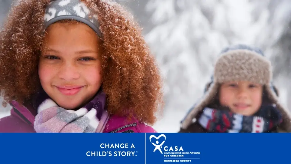 Event Planning and Fundraising Volunteer needed for Nonprofit Organization