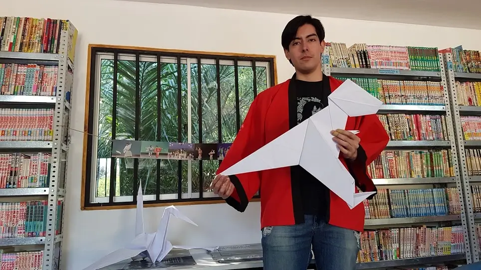 🌸 Volunteer Opportunity: Japanese Cultural & Manga Workshop Facilitator (Viña del Mar, Chile)