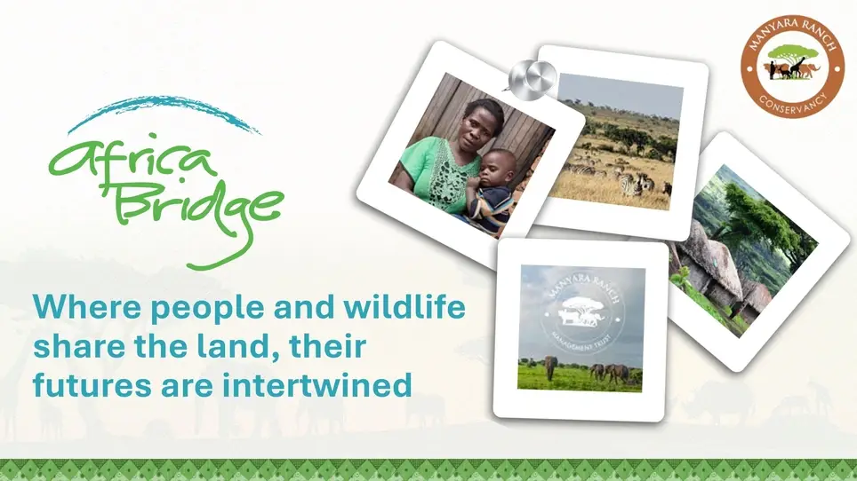 Corporate and Foundation Research