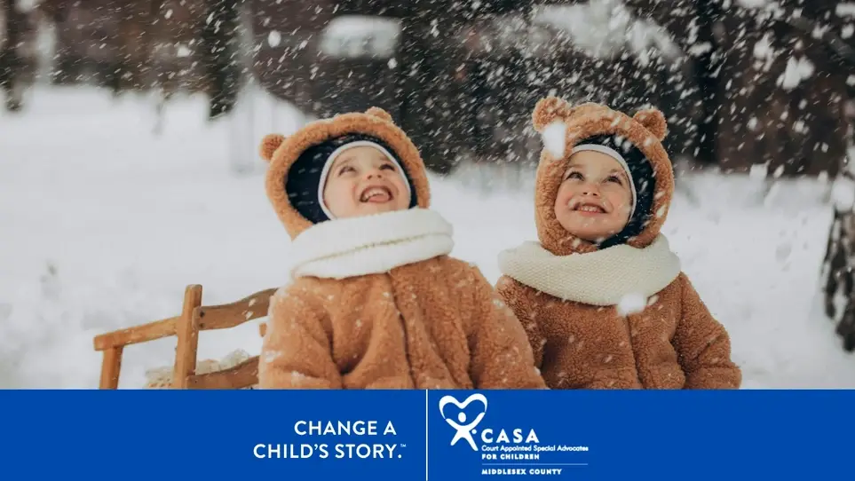 Event Planning and Fundraising Volunteer needed for Nonprofit Organization