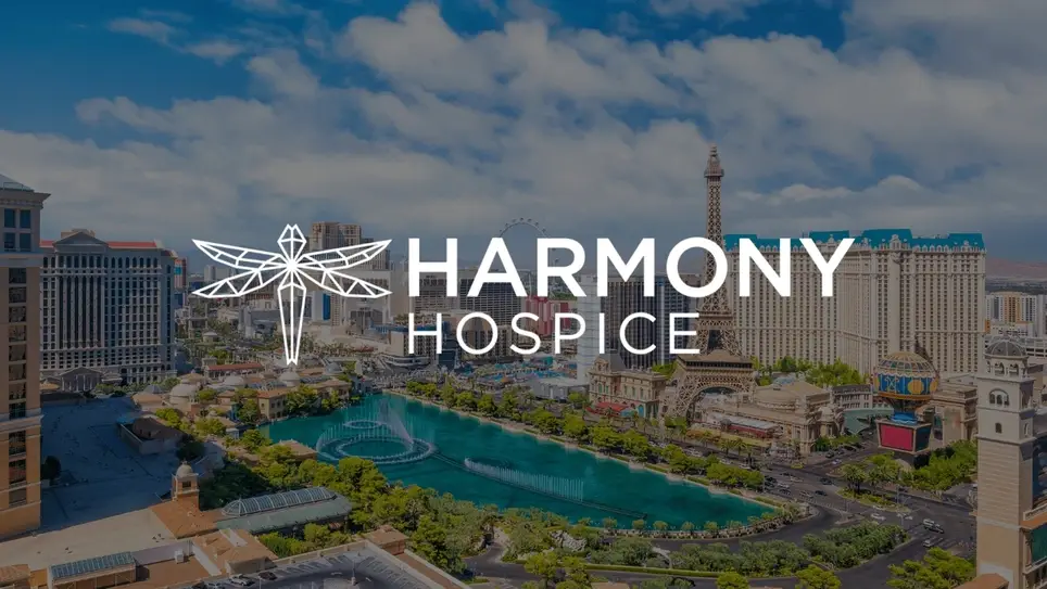 Unlock Your Potential: Volunteer Opportunities Await-- Click to Explore!