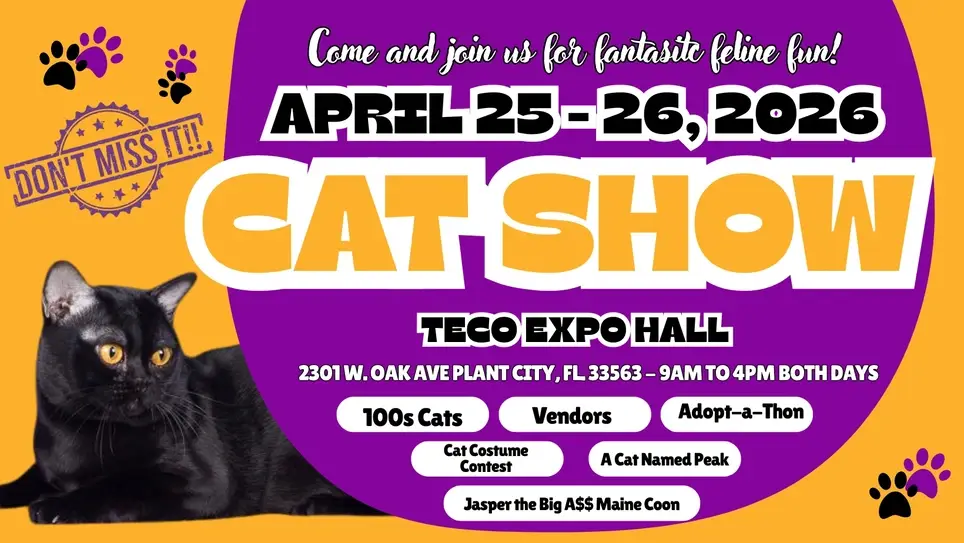 Earn Community Service / Bright Futures Hours at a Local Cat Show!