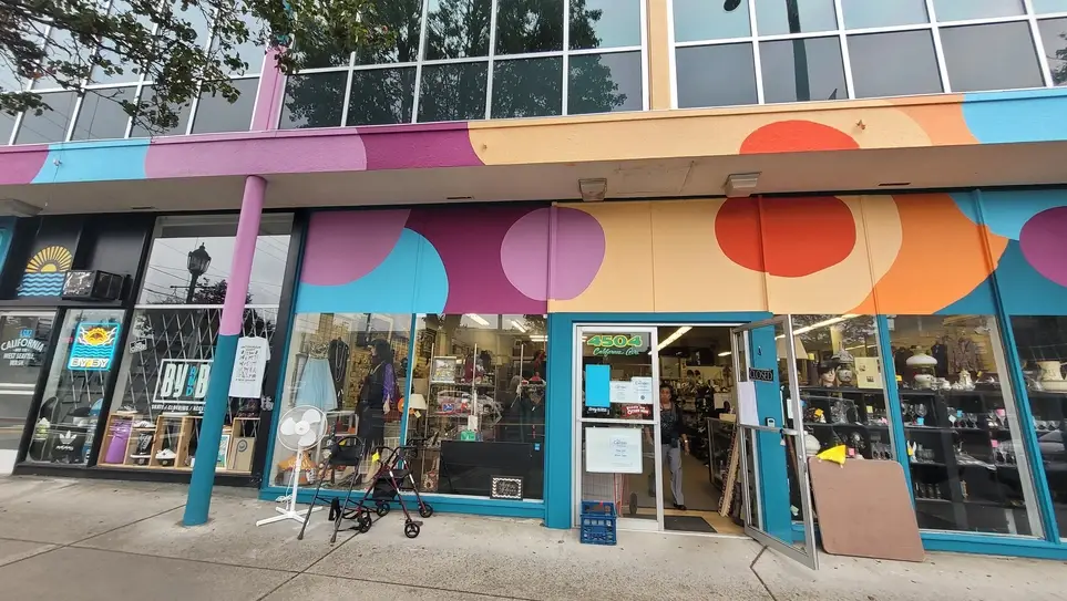 Volunteer at Non-profit Thrift Store