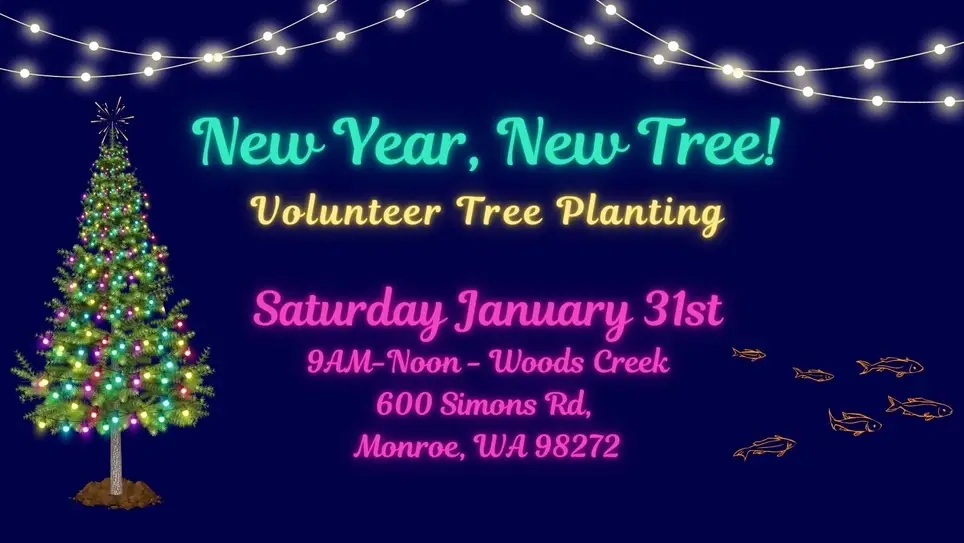 New Year, New Tree! Volunteer Planting