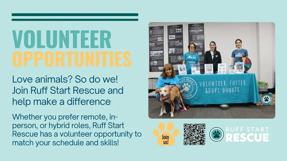 Merchandise Assistant Volunteer