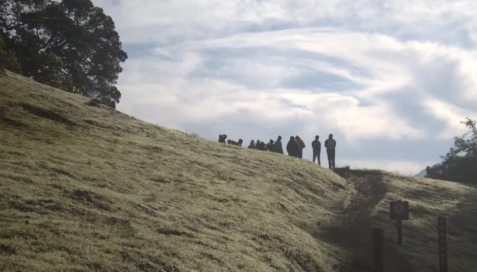One Tam Guided Hike Series: Rooted in the Watershed
