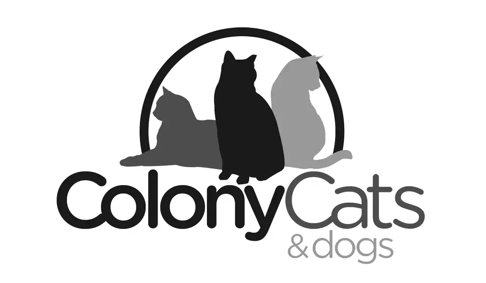 CAT LOVER needed in Grandview/Lennox Town Center area