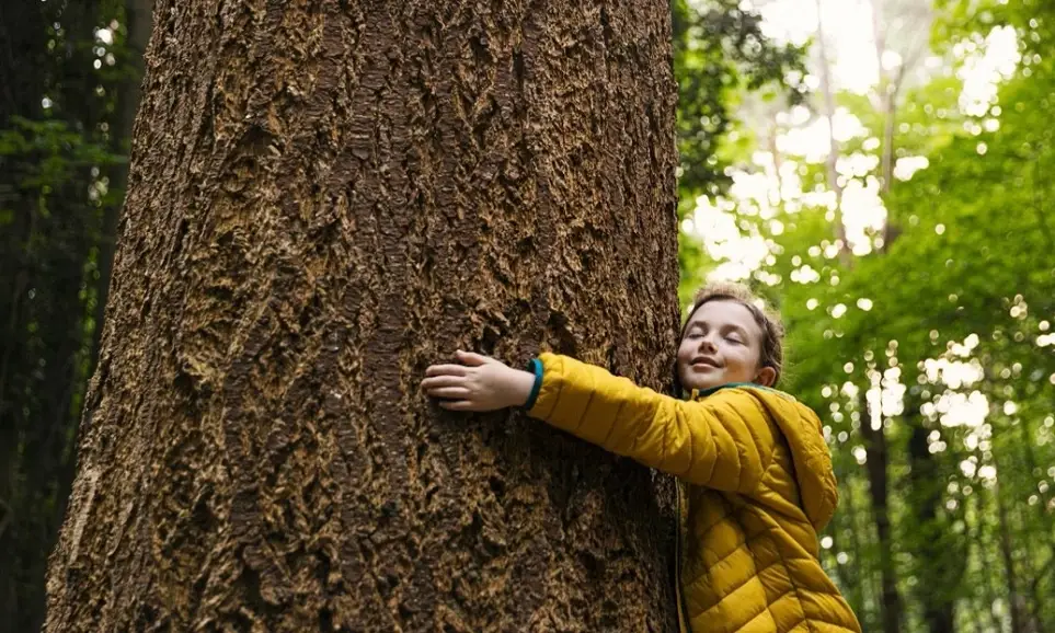Volunteer 250! Tidy Farm Titans - April 18th 2026