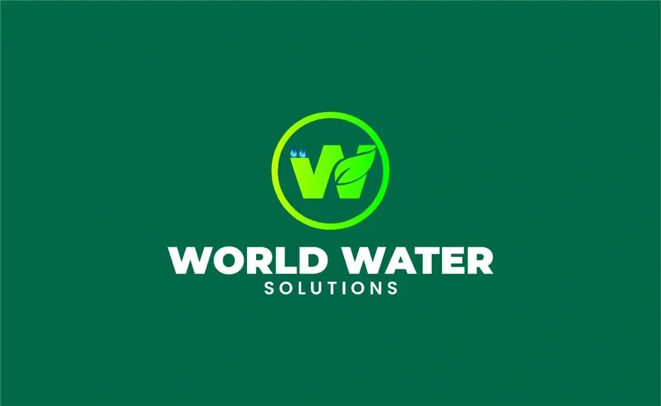 Website manager, Experience professional Motion Graphic designer with video editing skills