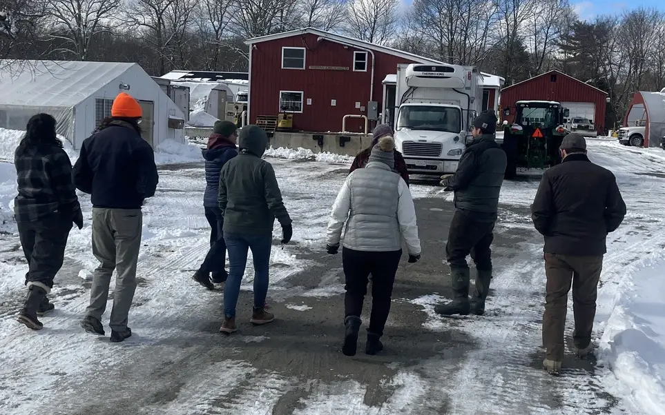 Board Member / Board of Directors