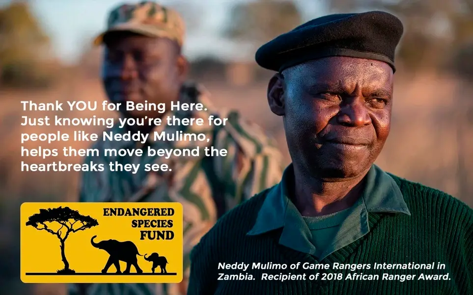 Director of Game Rangers Support Initiatives.