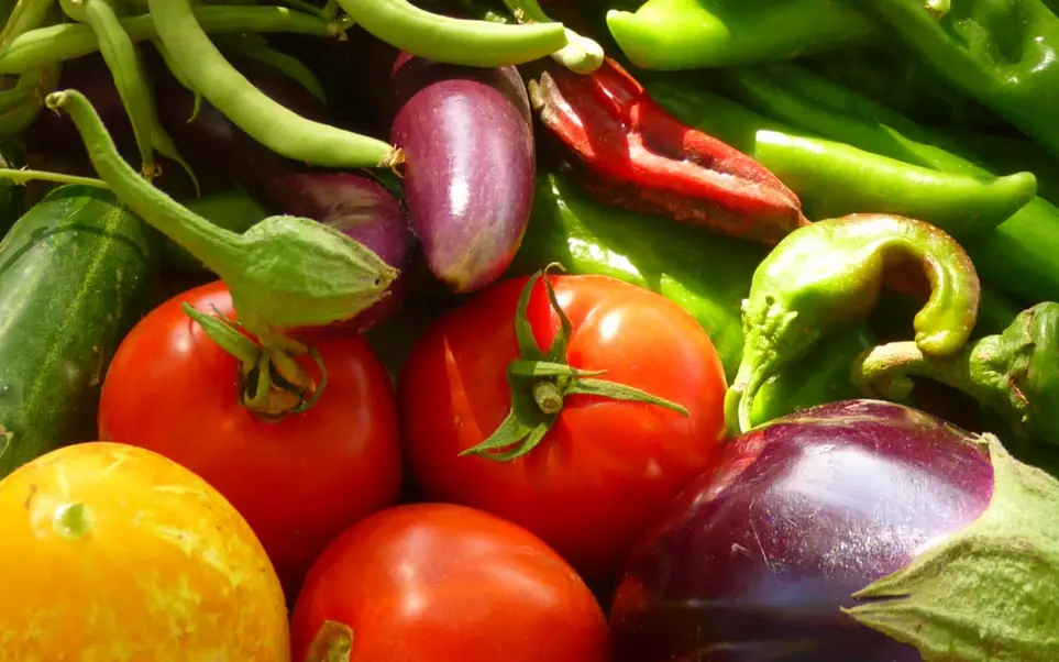 Help Fight Hunger In New Mexico!