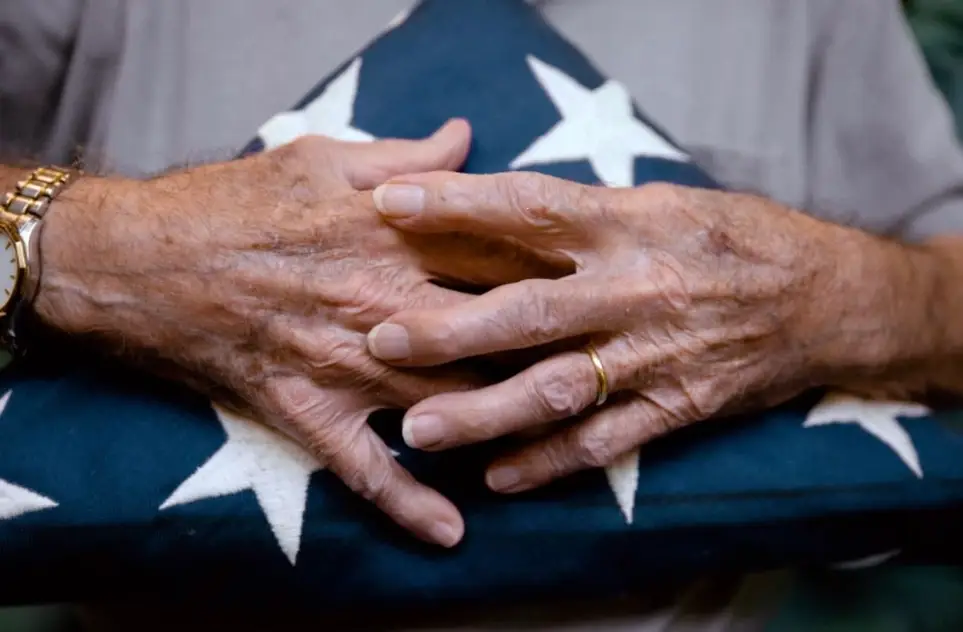 "Veteran-to-Veteran Companion Program"