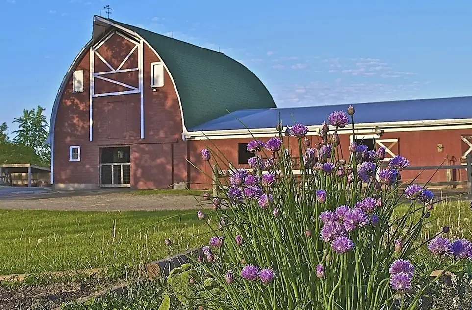 Farm Tour Guide