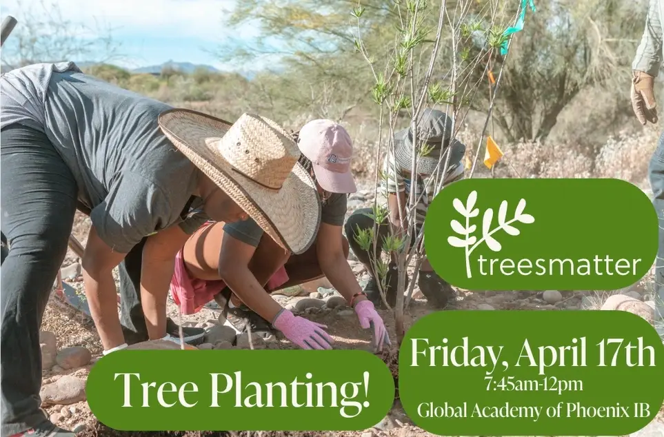 Tree Planting at Middle School in Phoenix!