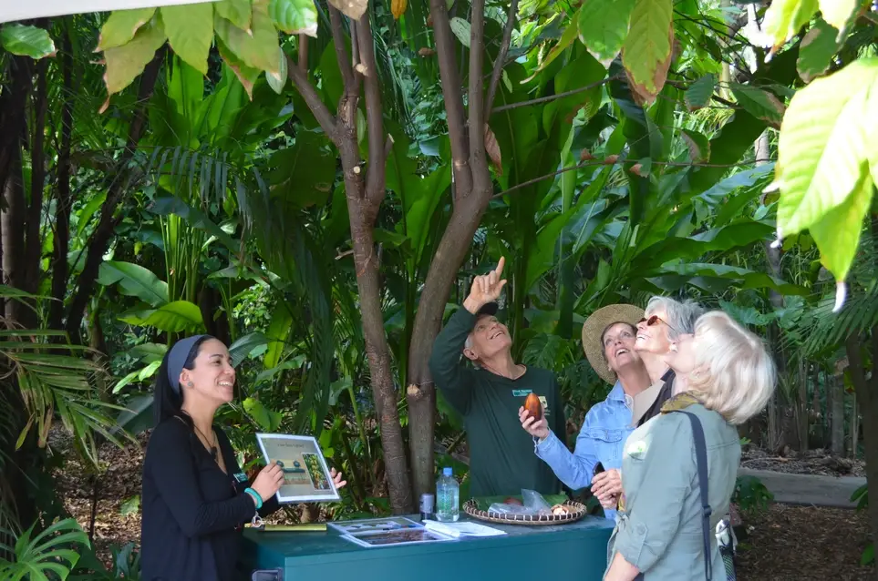 Volunteer Information Session - August 29th, 2026