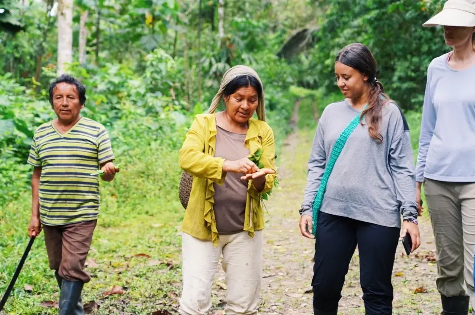 Amazonian Traditional Plant Medicine Internship