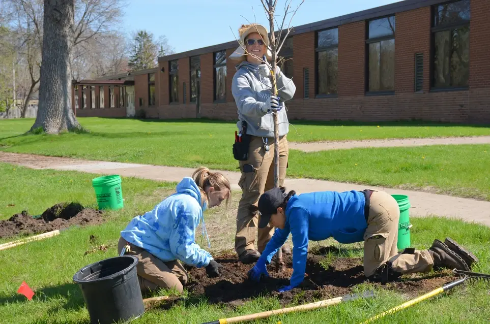 Community Tree Planting in Bemidji