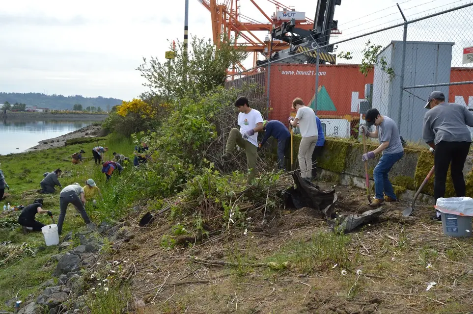 Support Healthy Habitat Amongst Heavy Industry @ qʷiqʷəlut Salt Marsh in Tacoma - Join the Apr. 11 Work Party!