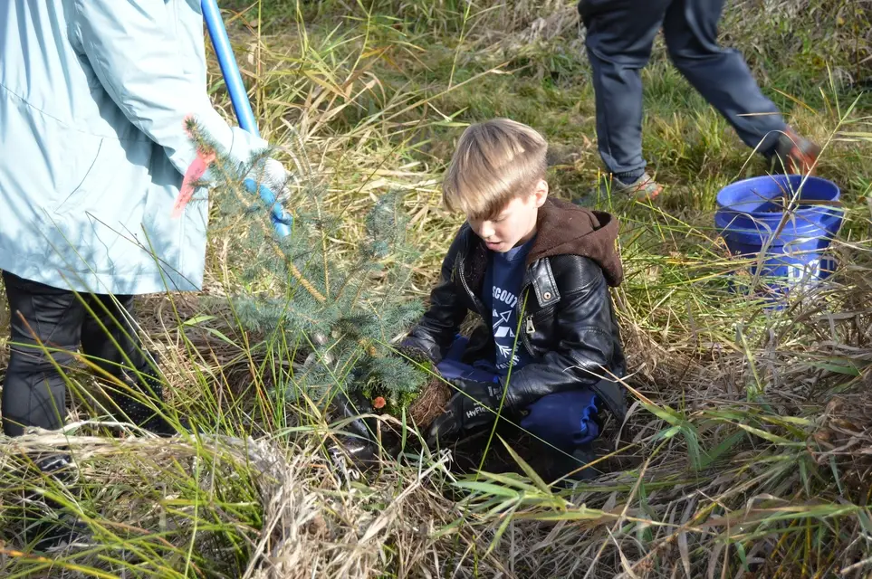 Promote Productive Salmon Runs at Puyallup's Peck Property - Join PCD's June 6 Work Party!