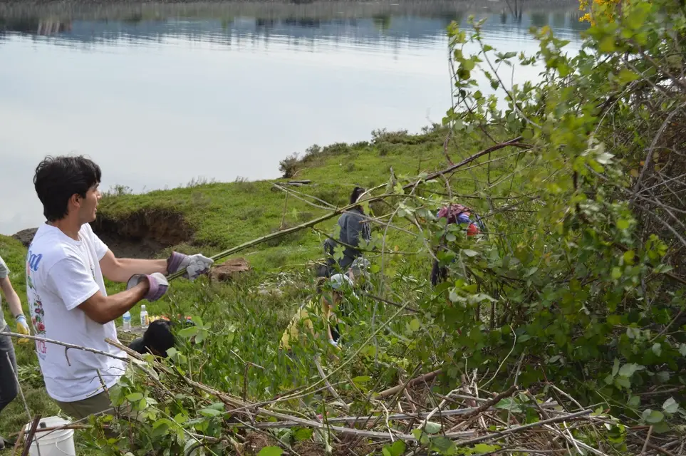 Show Love for Urban Green Spaces @ qʷiqʷəlut (little salt marsh) in Tacoma - Join the Feb. 14 Work Party!