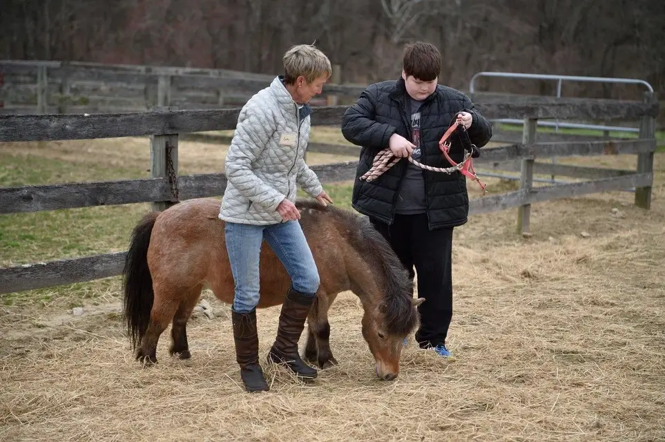 Horses Helping Humans