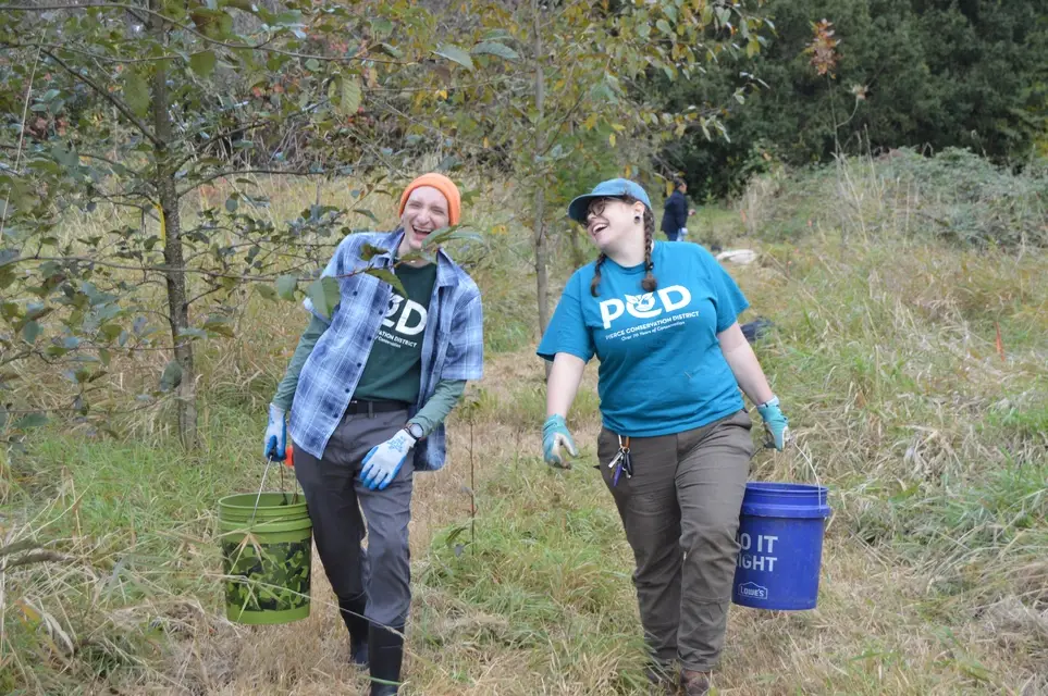 Pretty-Up Puyallup Salmon Habitat @ Peck Property - Join PCD's Feb. 14 Work Party!