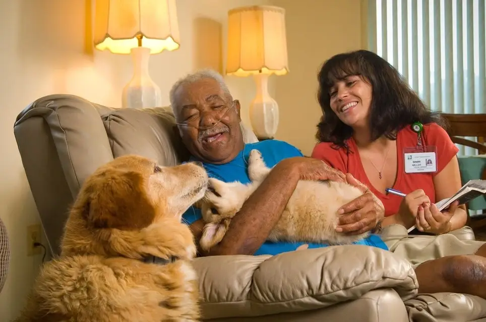 Pet Therapy Volunteer Longview, Tx