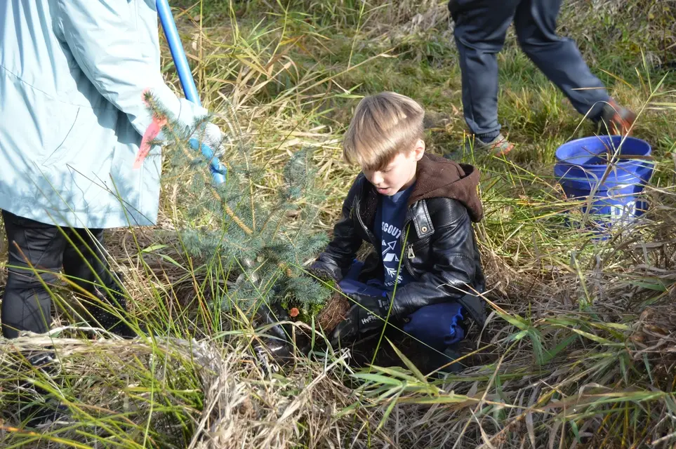 Support Healthy Wildlife Habitat @ Deadman's Pond - Join PCD's Mar. 6 Work Party!