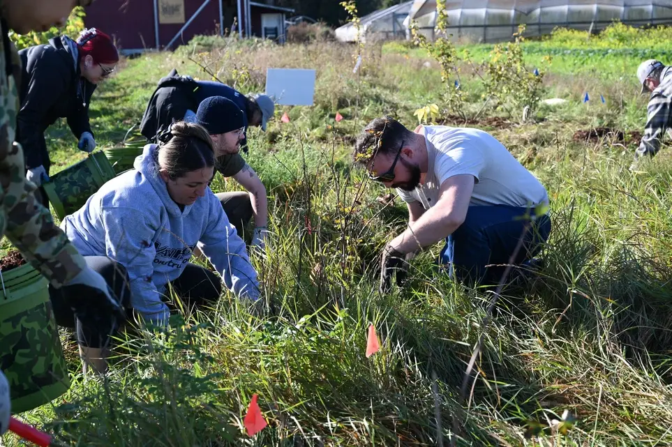 Support Local Farm, Pollinator, & Wildlife Health - Join PCD's June 12 Hedgerow Volunteer Work Party!