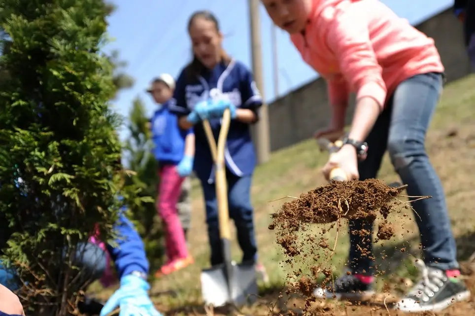 Volunteer Green & Sustainability Consulting Advisor: