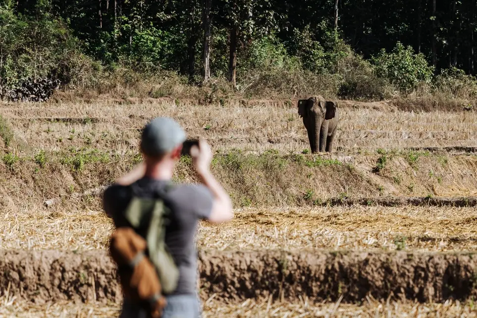 Photography Internship