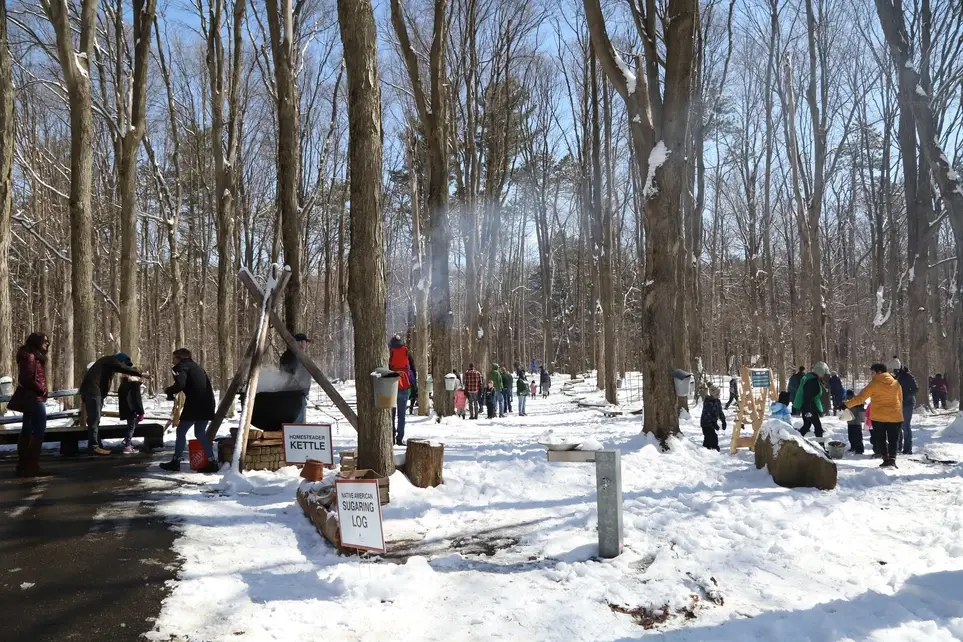 Fenner Nature Center's 2026 Maple Syrup Festival