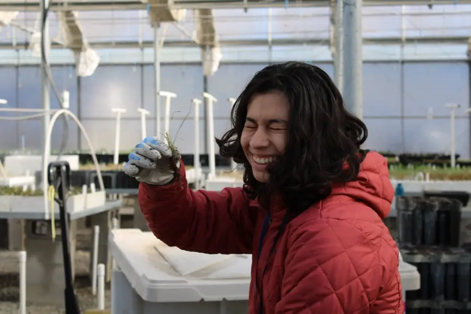 Volunteer in our Native Plant Nursery!