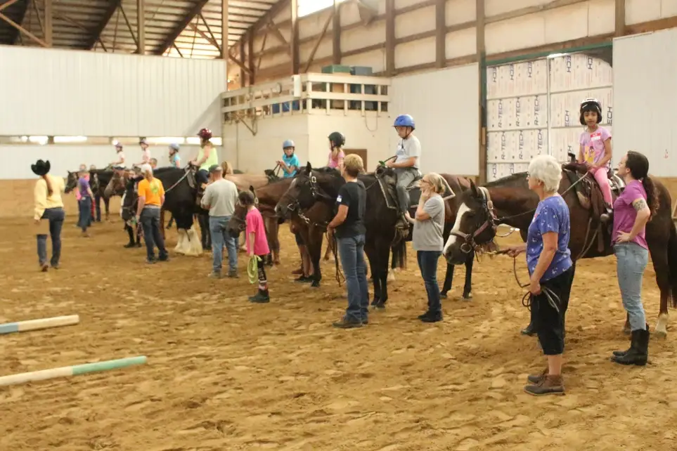 Equine Therapy - New Volunteer Training