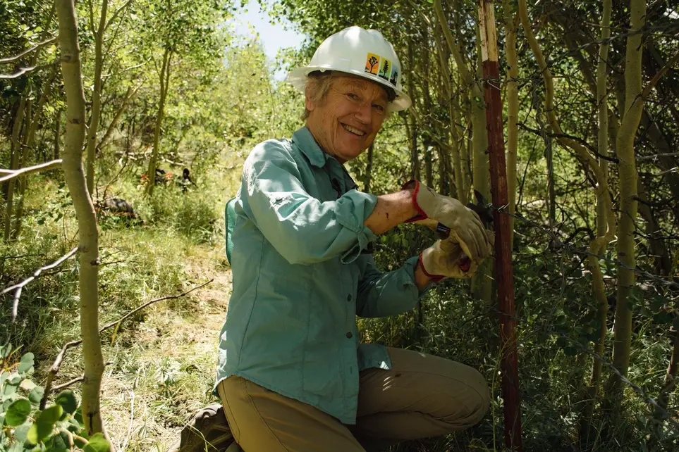 Lahontan Cutthroat Trout Habitat Protection