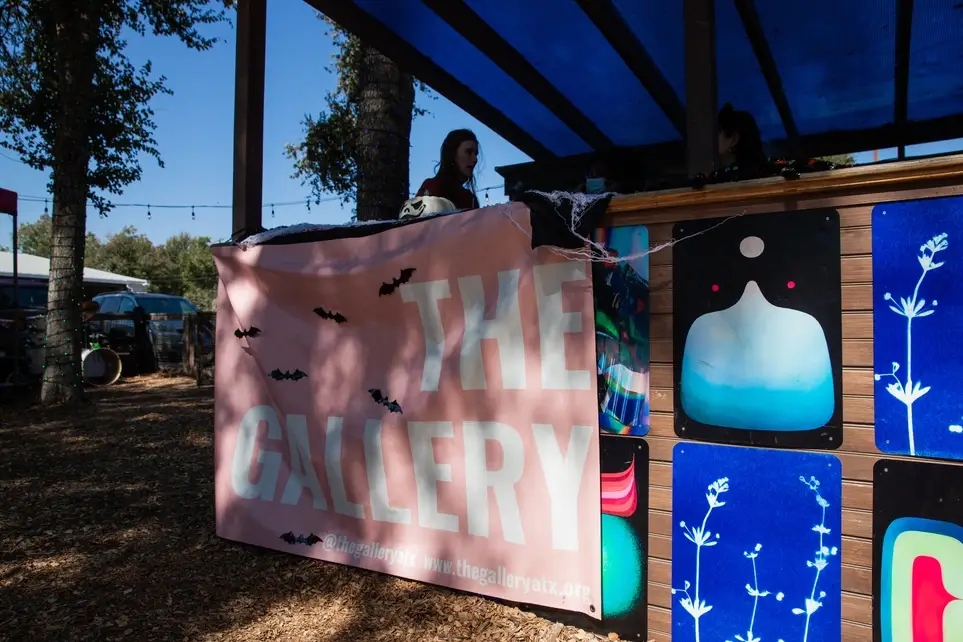 The Gallery ATX General Volunteer Application