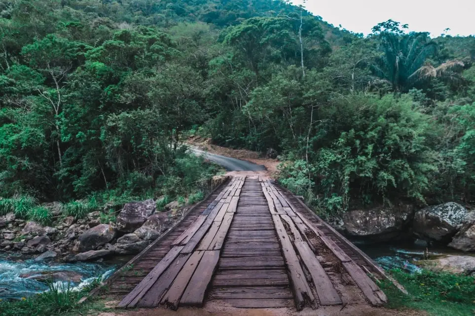 Voluntário Elaborador de Projetos - Eco Habitat - Nova Friburgo